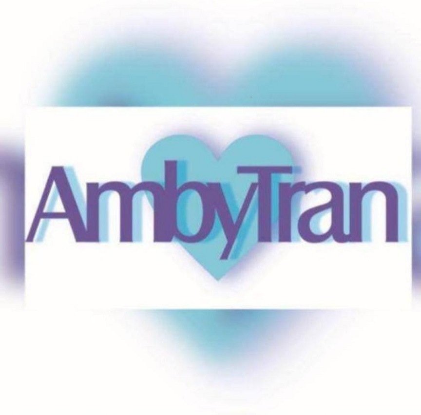 Logo AmbyTran